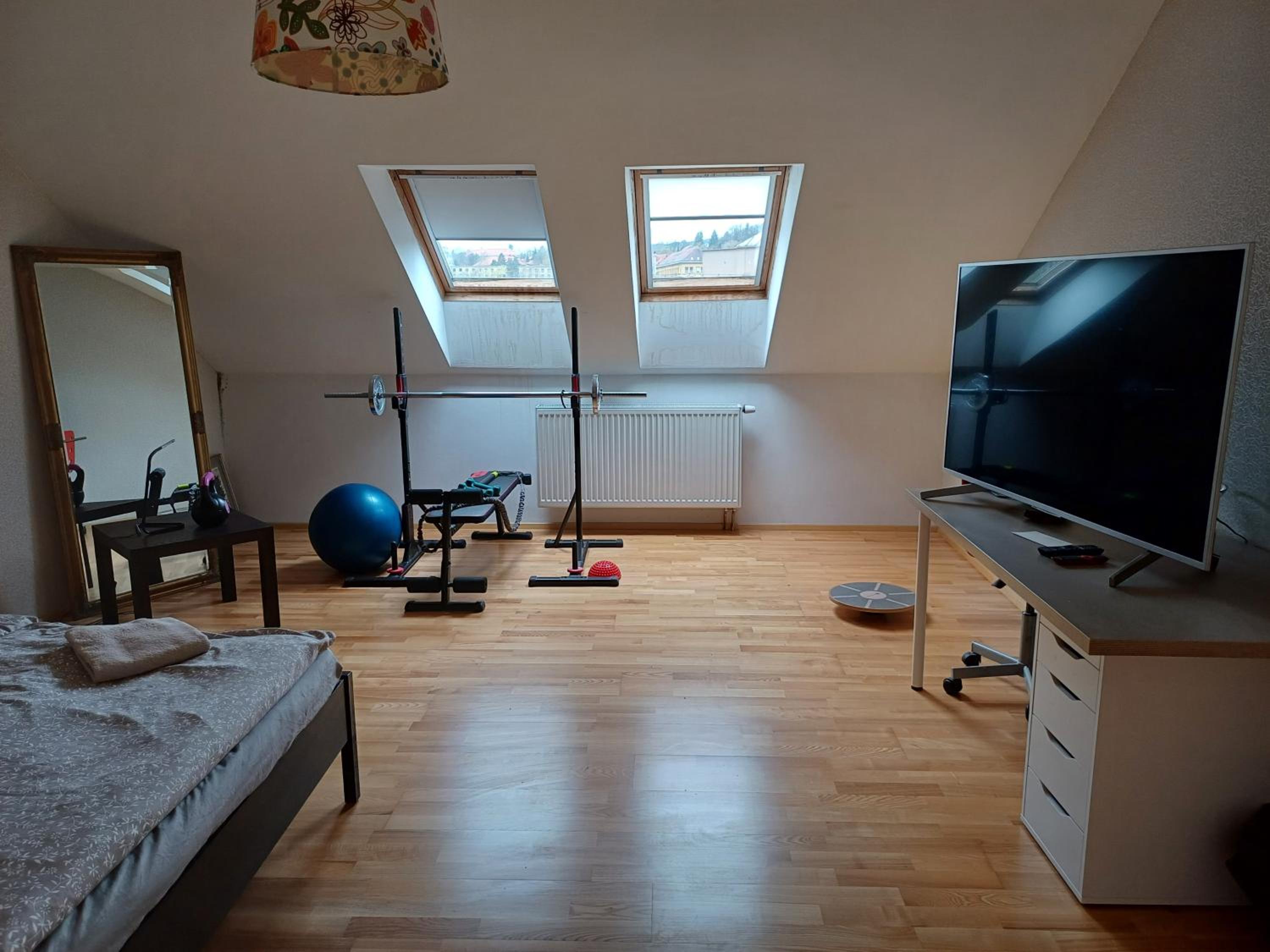 Apartmán Dvořák 194 pod Svatou horou, photo 26