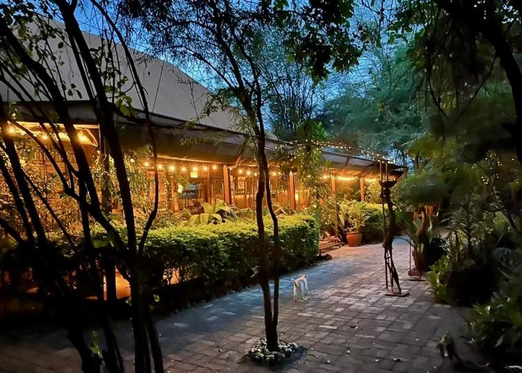 Ikweta Safari Camp