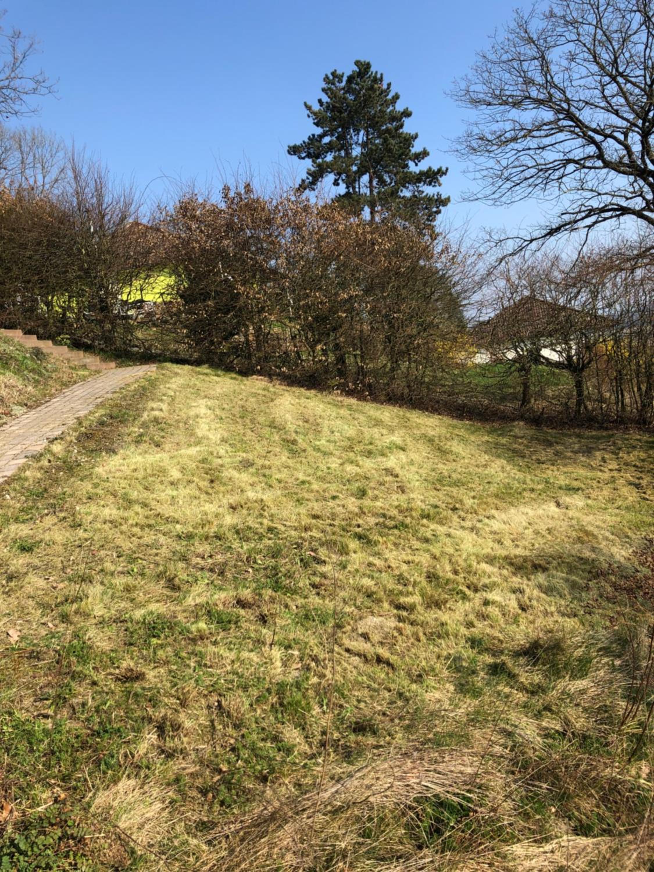 Idyllisch Wohnen im Weserbergland - Bungalow mit phantastischer Aussicht für 4 Personen