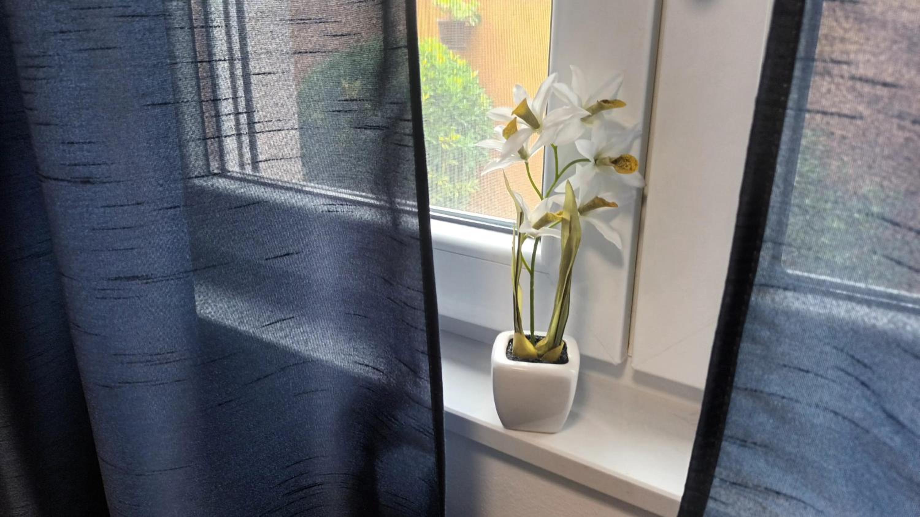 Apartman Sandra - free private parking and garden