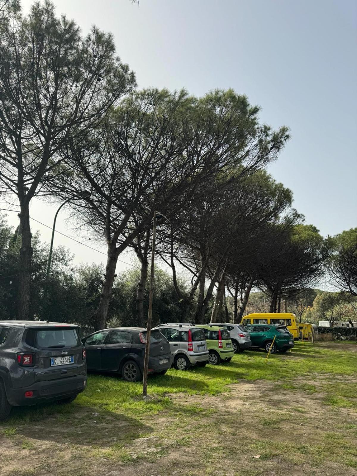 parking