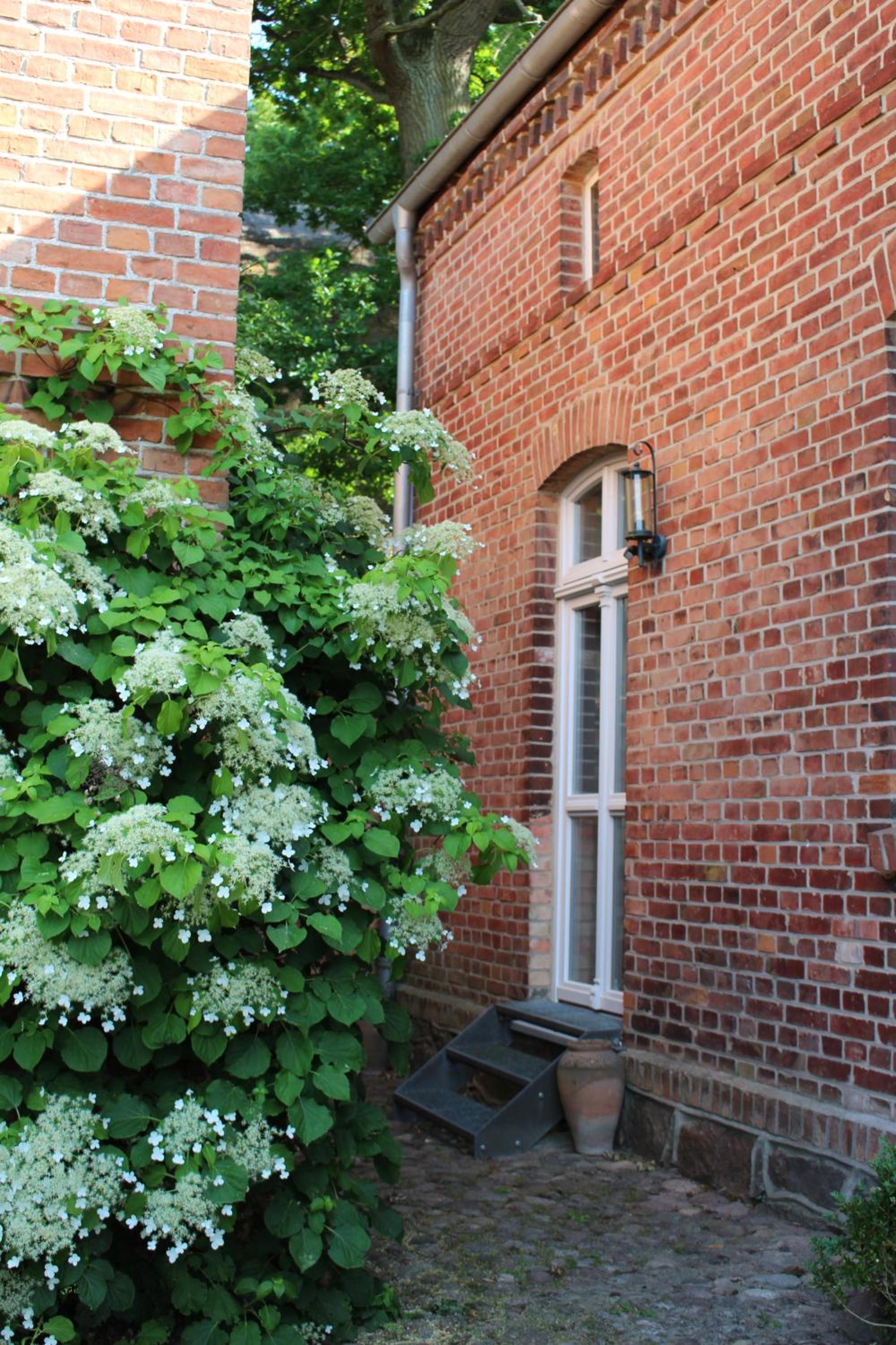 Ferienwohnung Buchholz