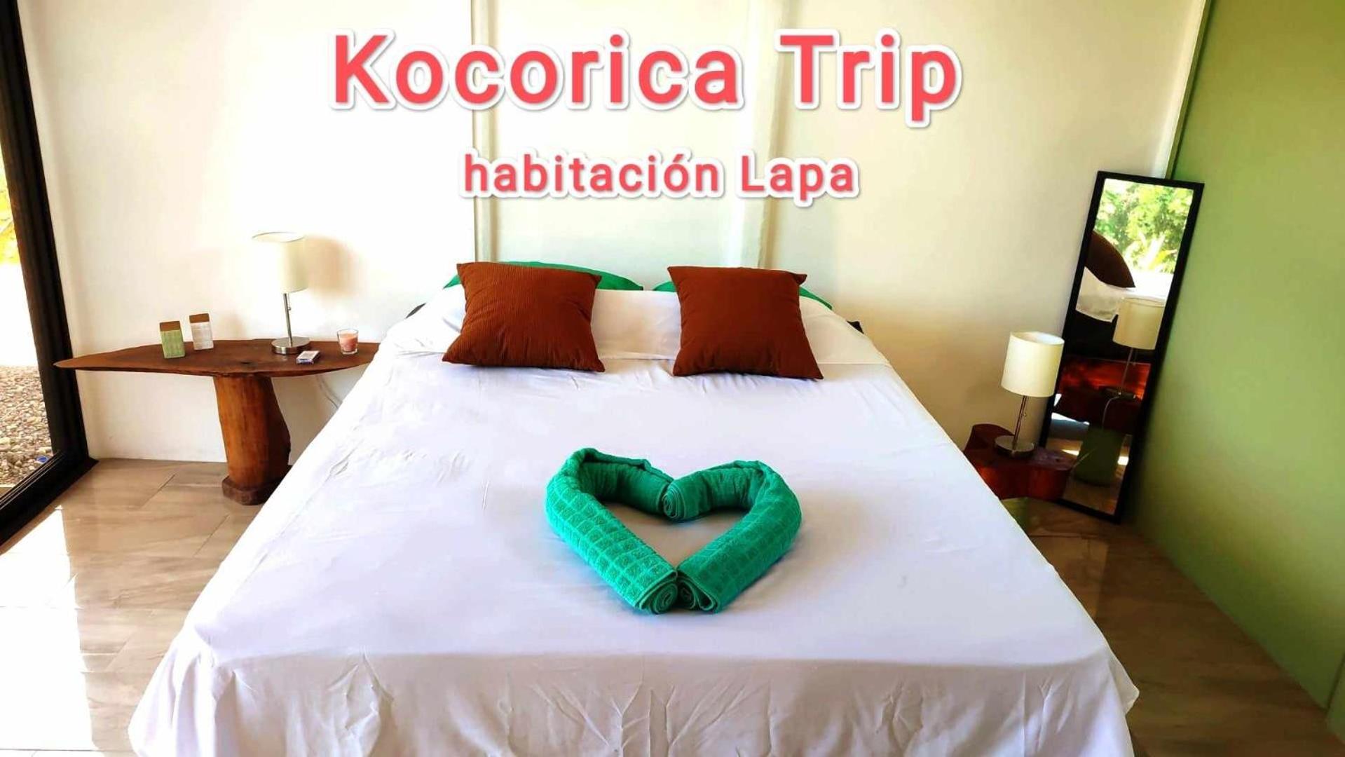 Kocorica