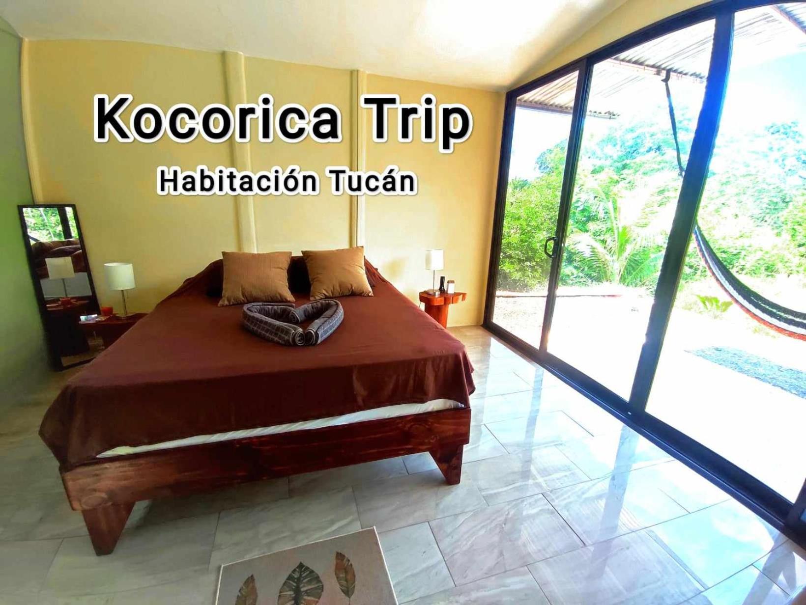 Kocorica