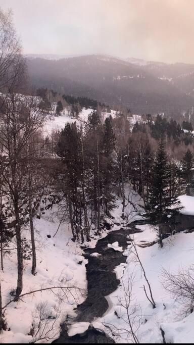 Apartamento de montaña junto al rio ,pistas de ski y parque natural