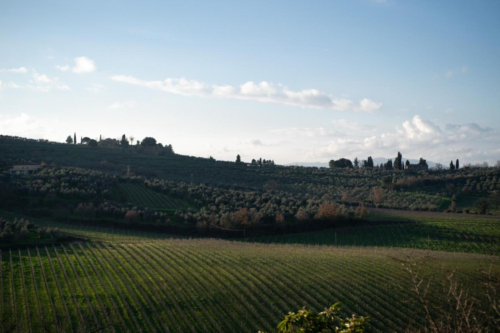 Casa Caterina Tuscany