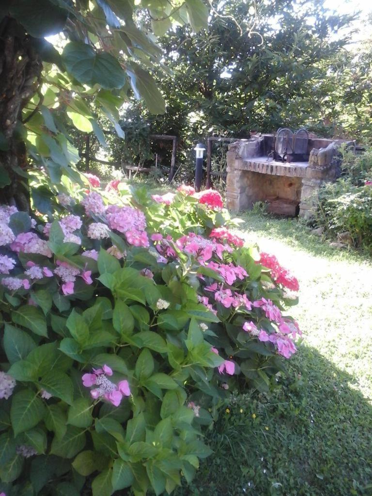 Casa Caterina Tuscany