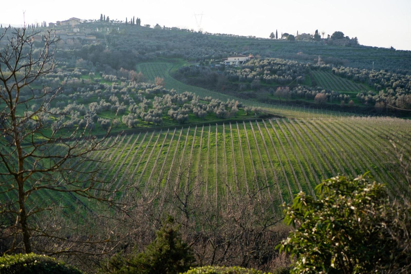Casa Caterina Tuscany