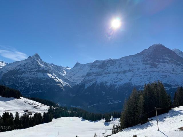 Grindelwald-Sunneblick