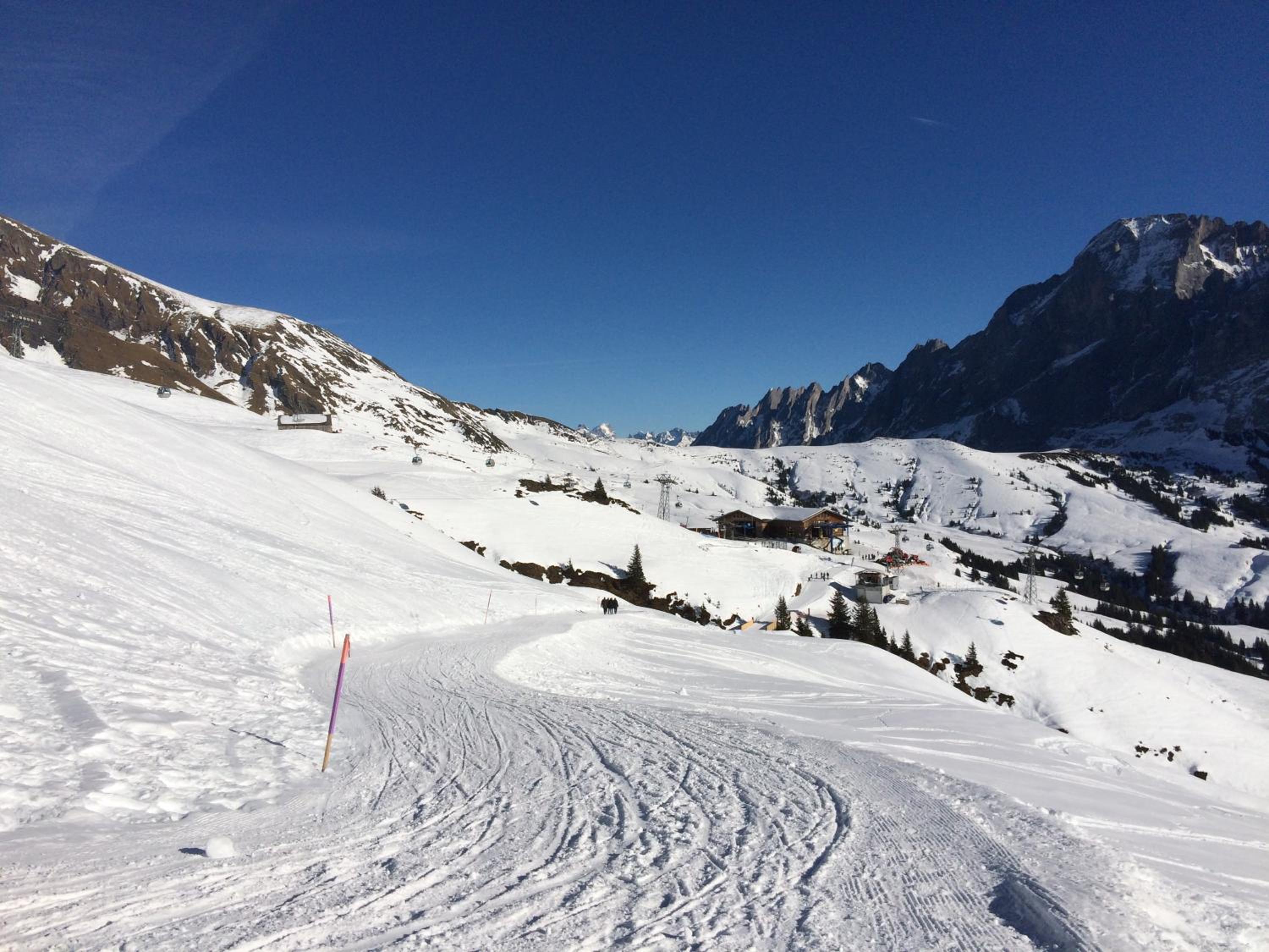 Grindelwald-Sunneblick