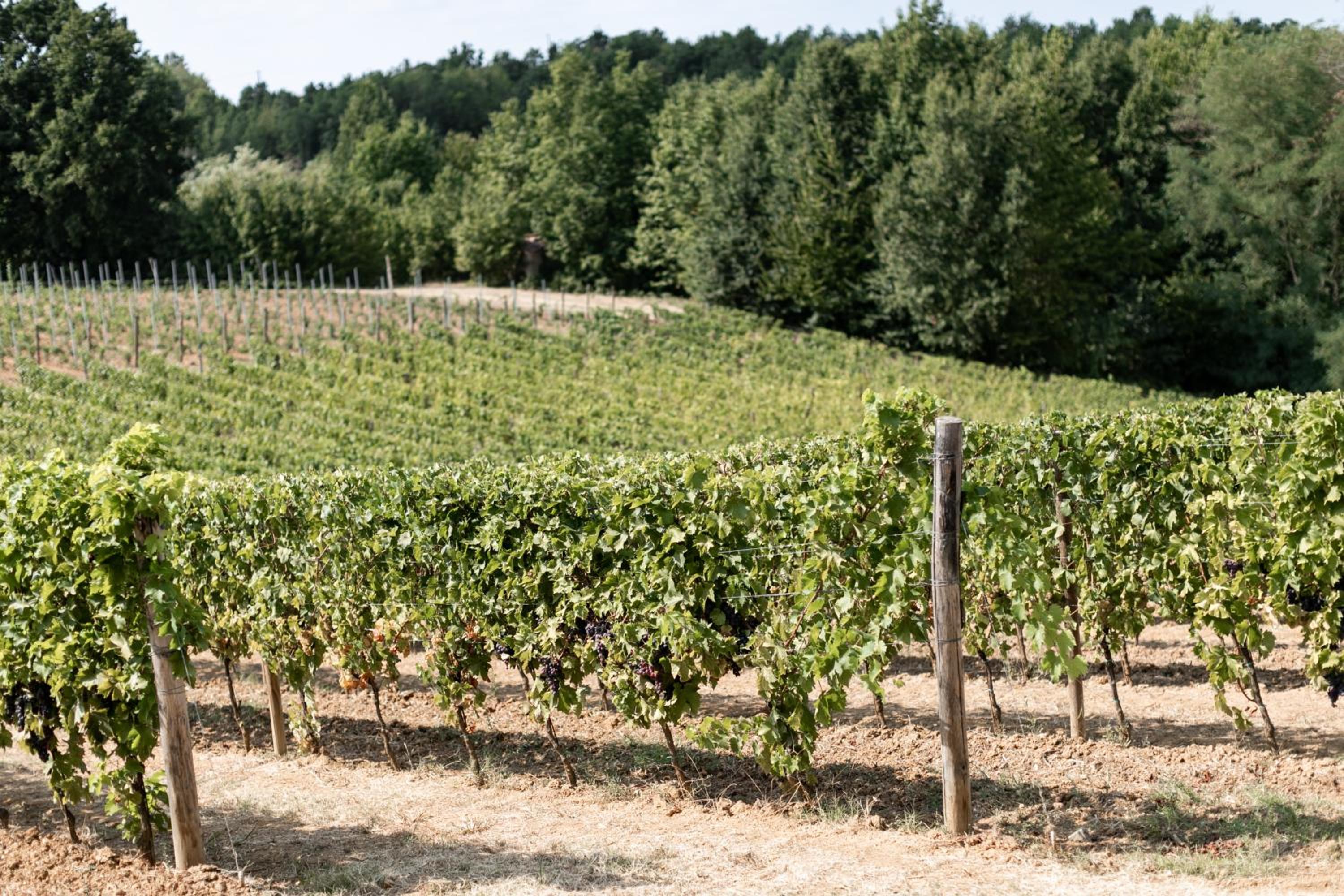 Cascina Bella Relais