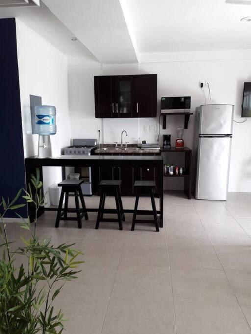 Tuna Fish, Ocean Front Apartment