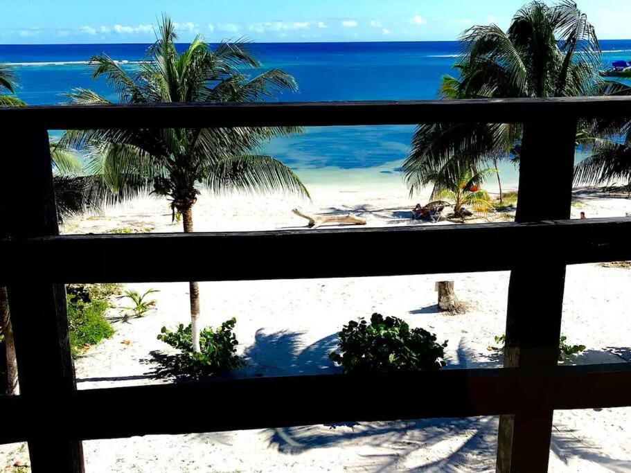 Tuna Fish, Ocean Front Apartment