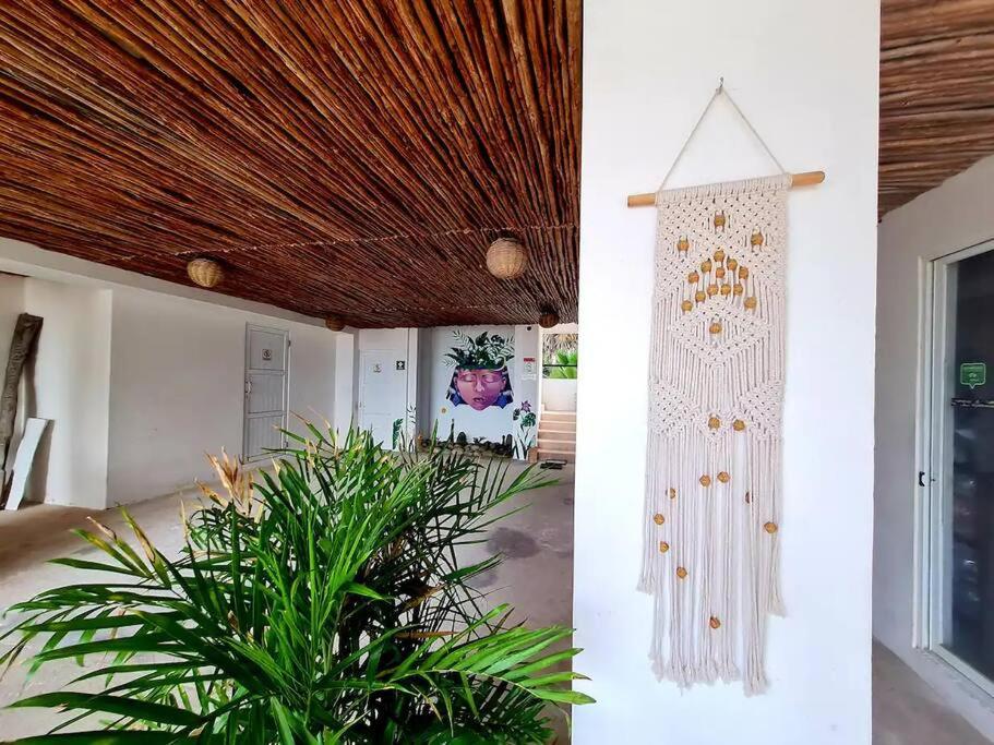 Tuna Fish, Ocean Front Apartment