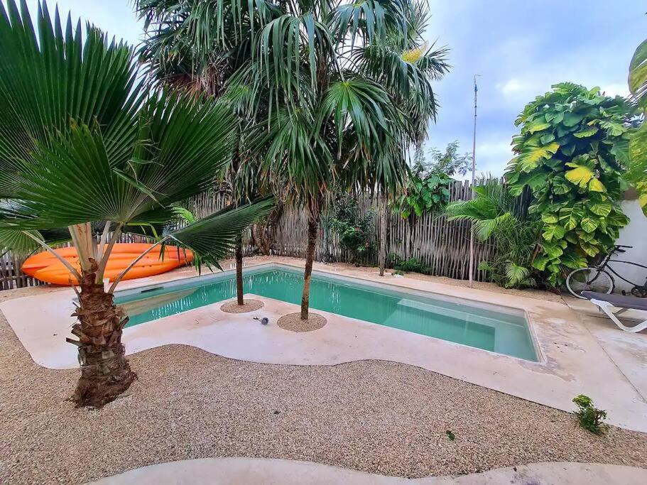Tuna Fish, Ocean Front Apartment