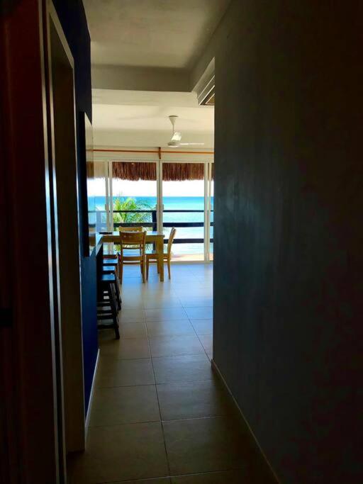 Tuna Fish, Ocean Front Apartment