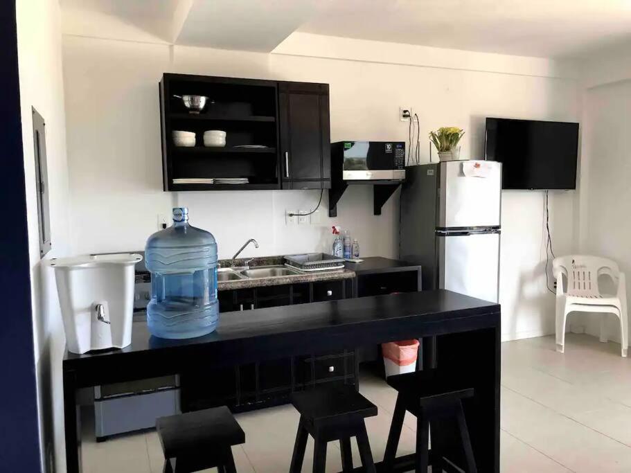 Tuna Fish, Ocean Front Apartment