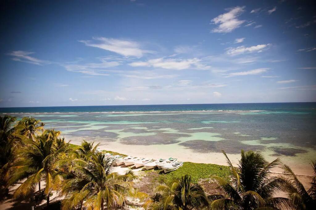 Tuna Fish, Ocean Front Apartment