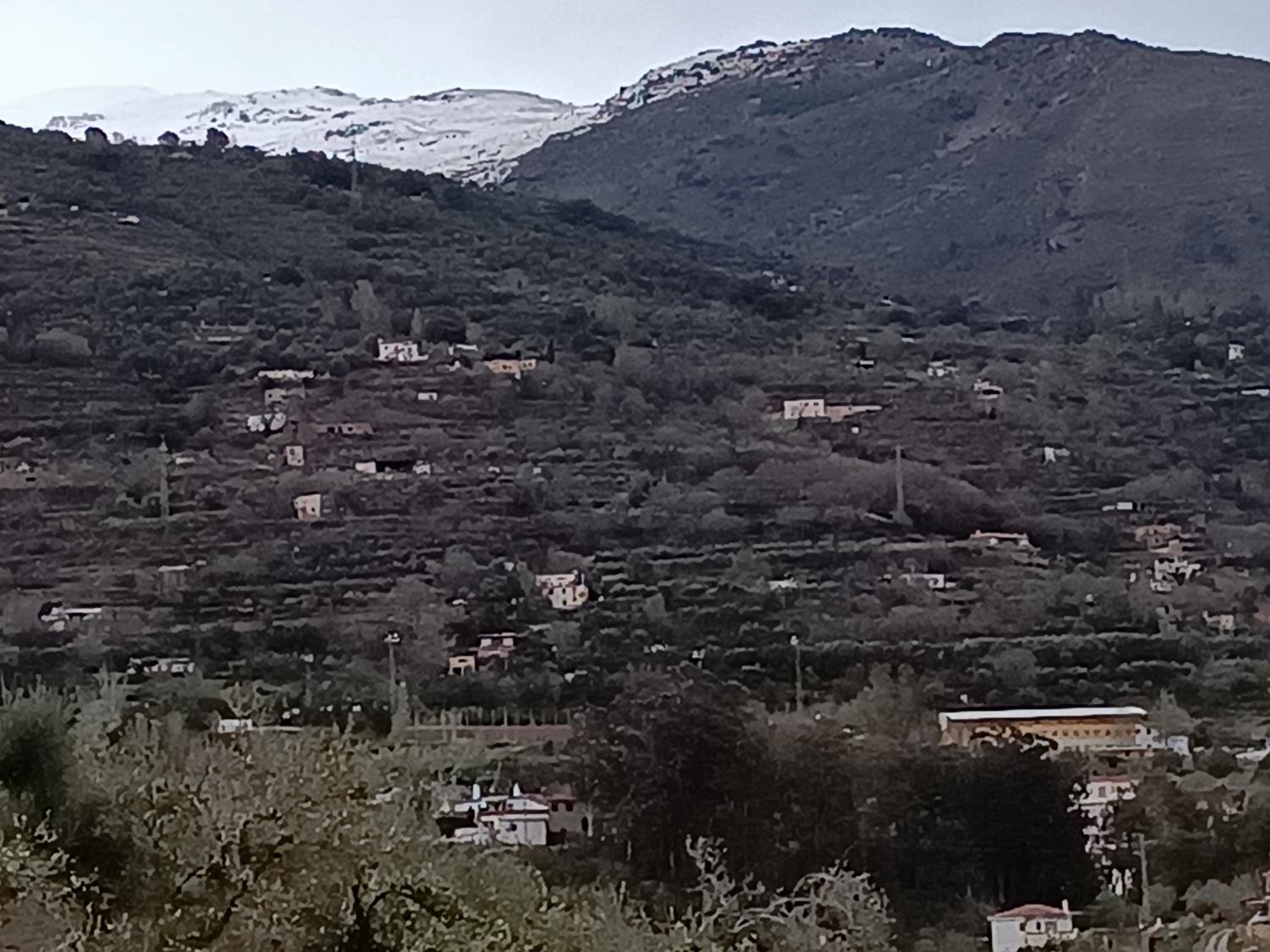 Casa Rural Chalet Venta del Aire Cortijo Terron