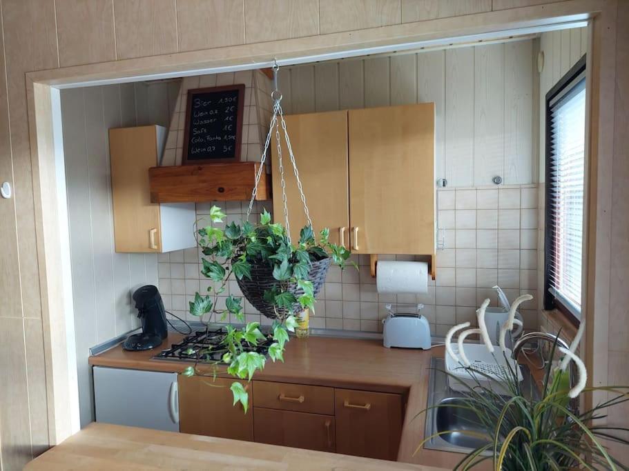 Ferienhaus Eifel Nature Dream II