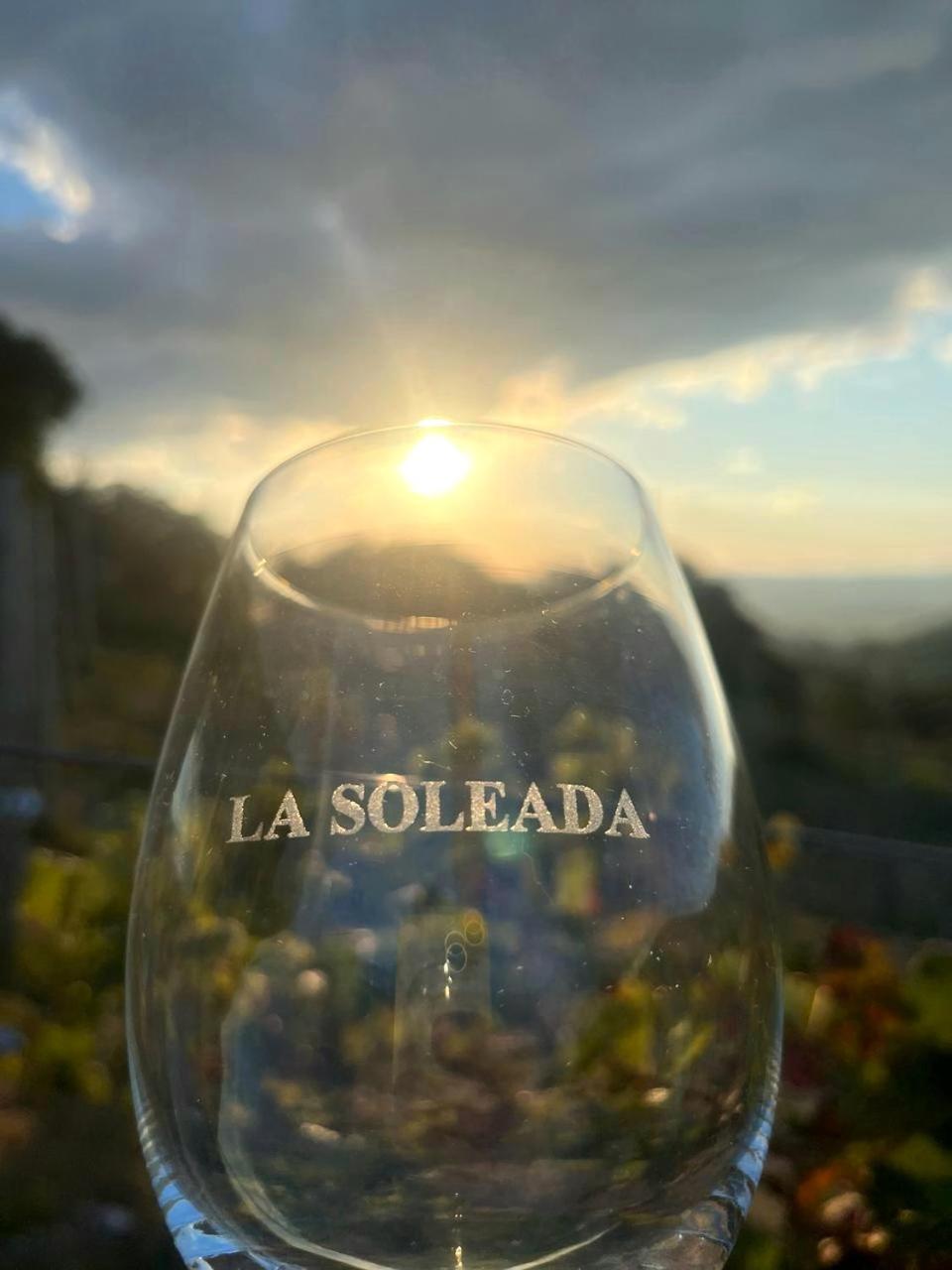Establecimiento La Soleada suites de campo