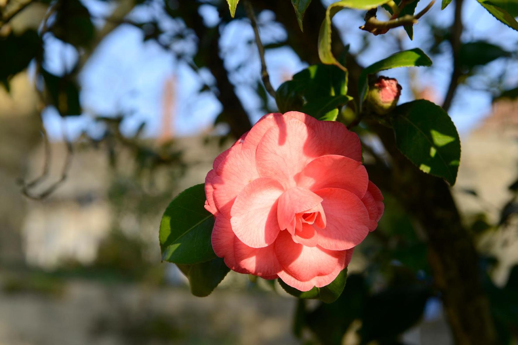 Photo 47