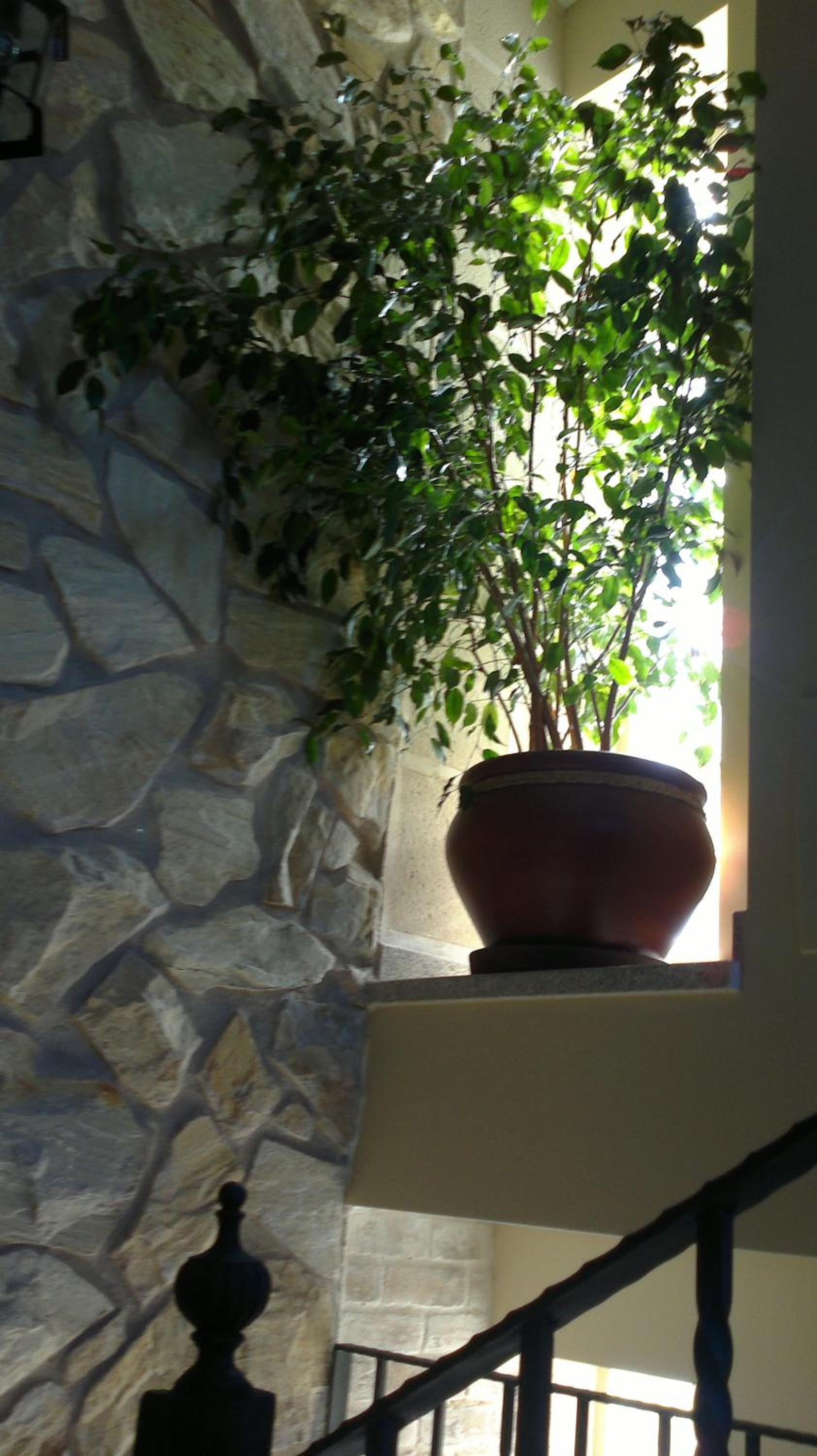 Photo 44