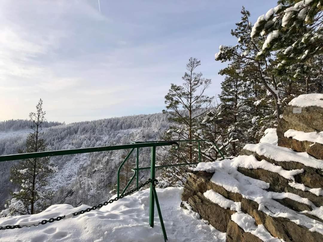 Bungalow Schwarzatalblick in Bad Blankenburg Ortsteil Böhlscheiben