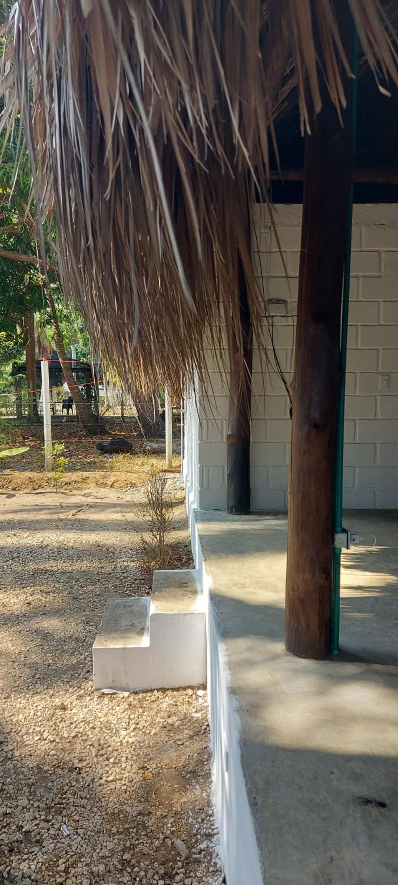 Cabaña Palmeras del Viento