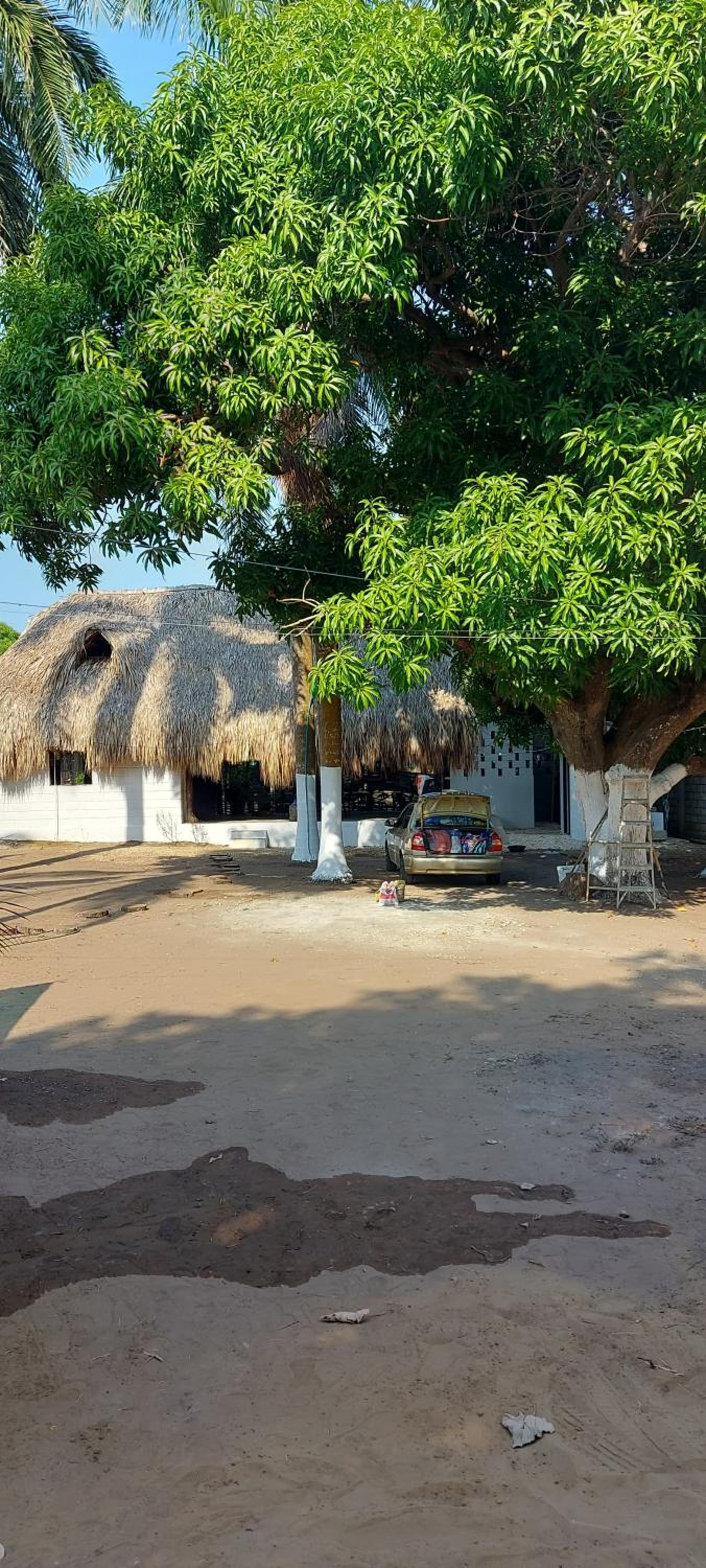 Cabaña Palmeras del Viento