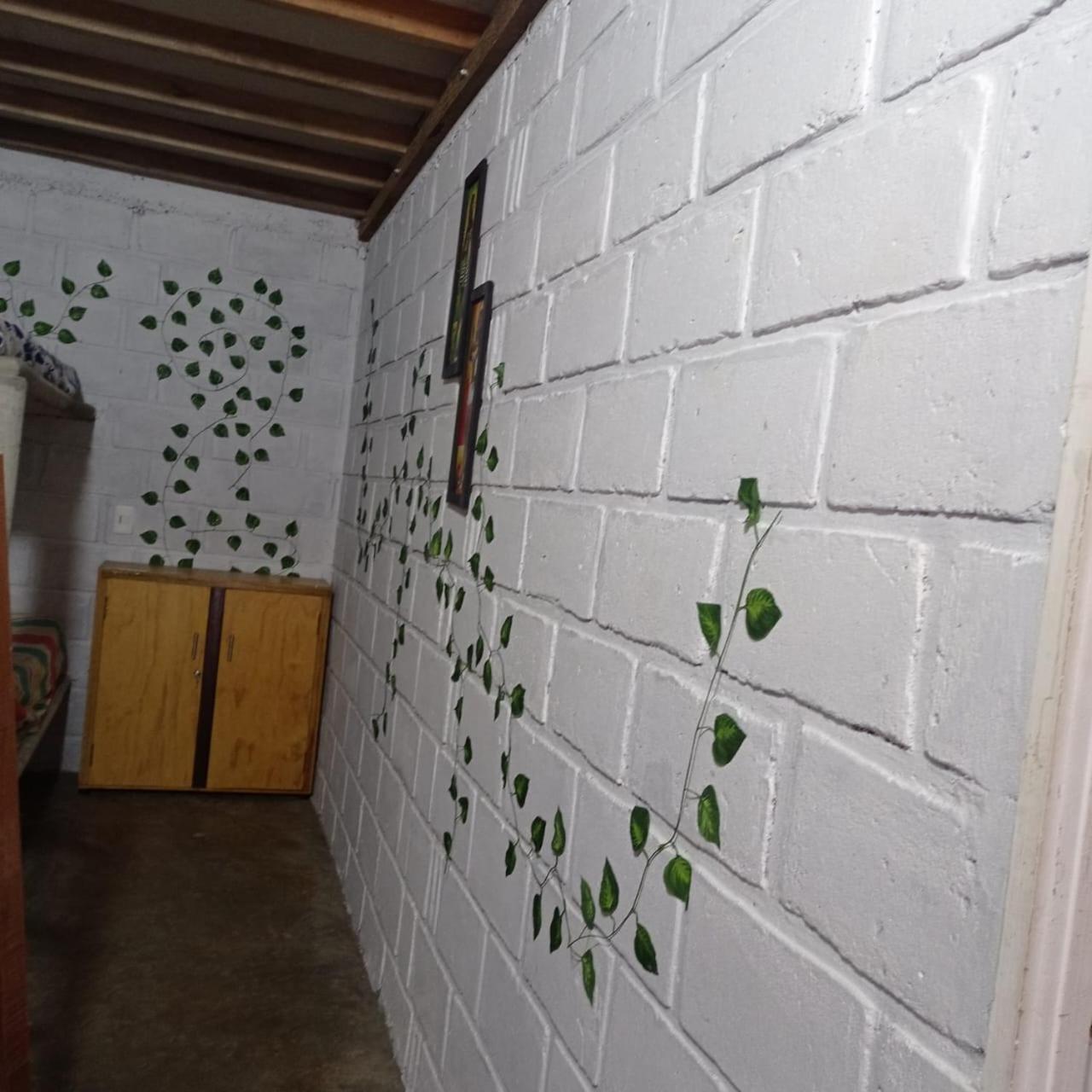 Cabaña Palmeras del Viento