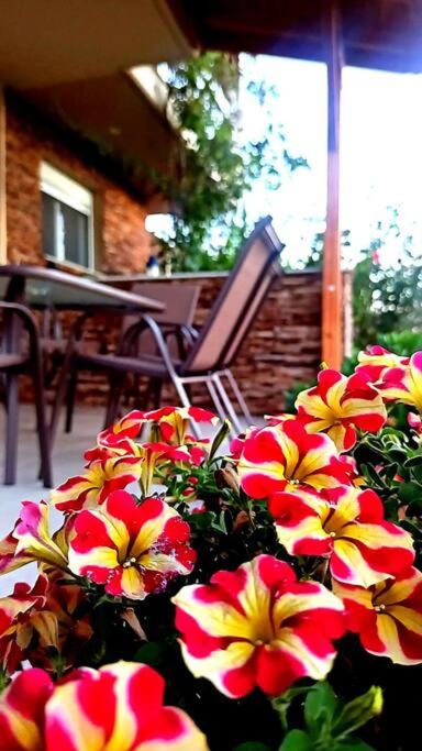 Nouli's Mountain View Haven view 4