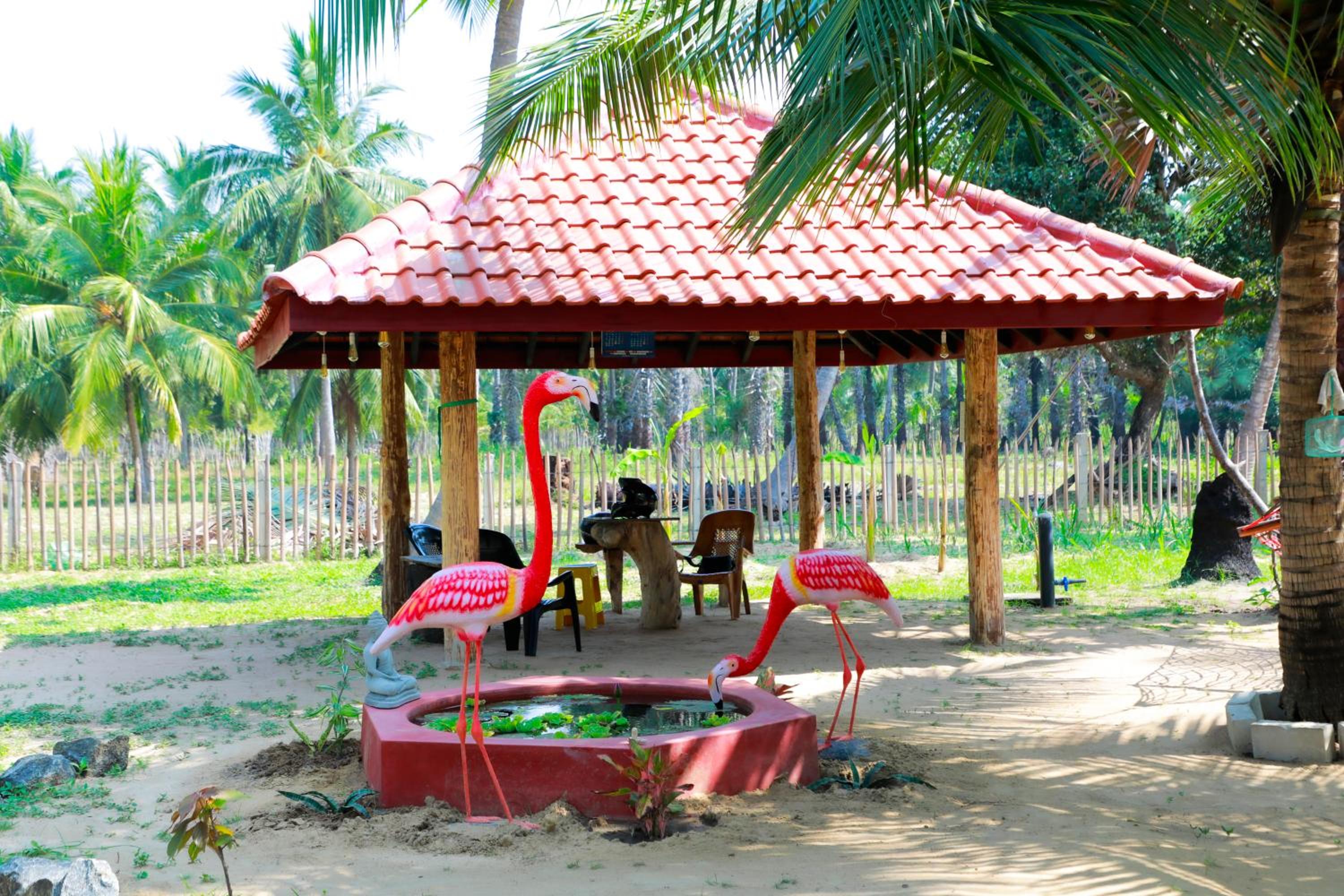 Nature Paradise