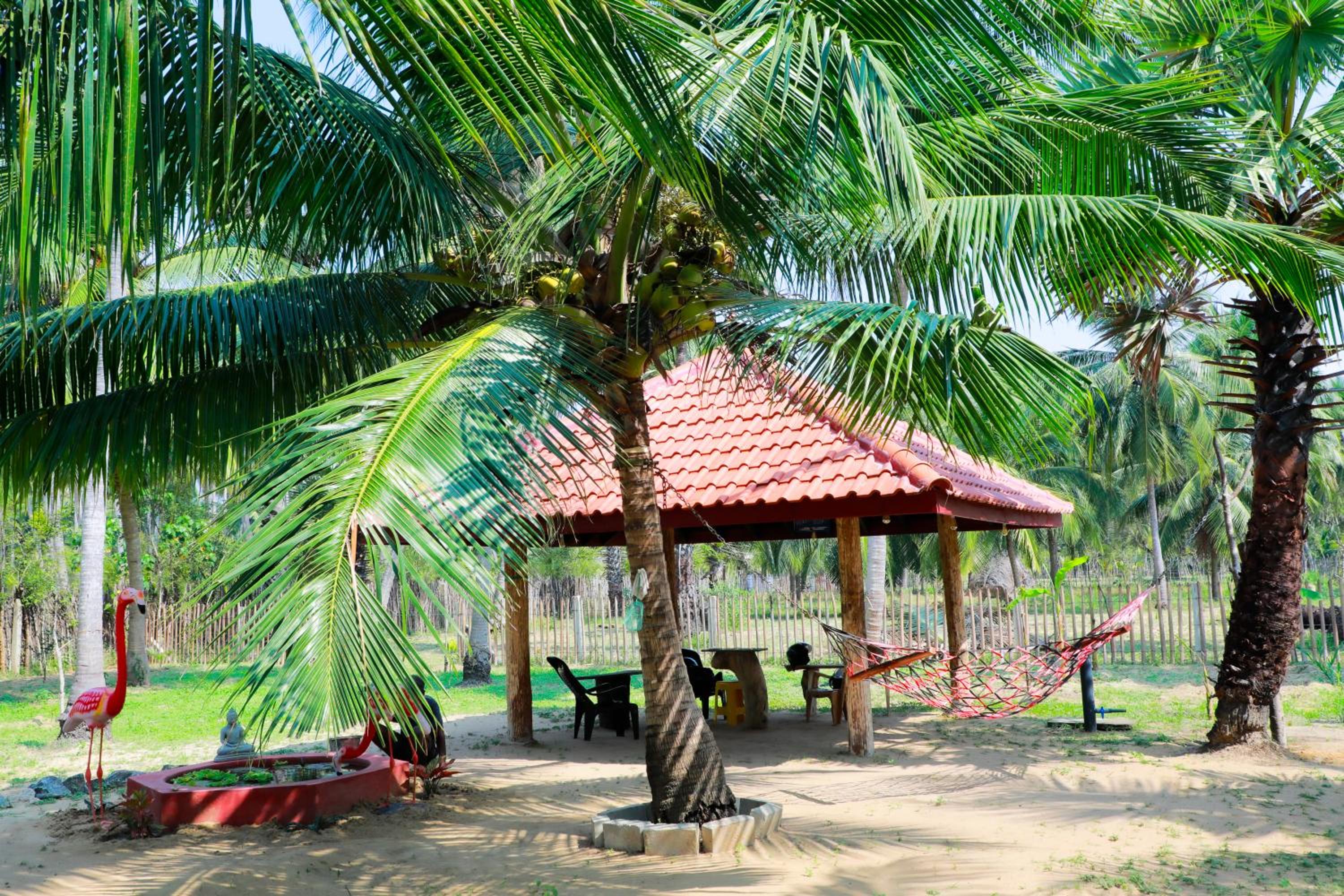 Nature Paradise