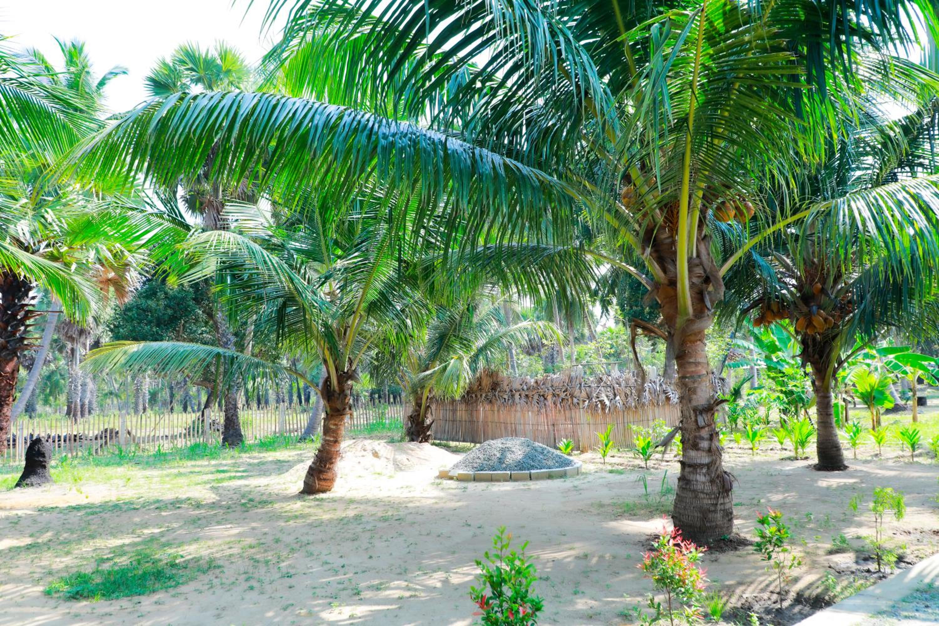 Nature Paradise