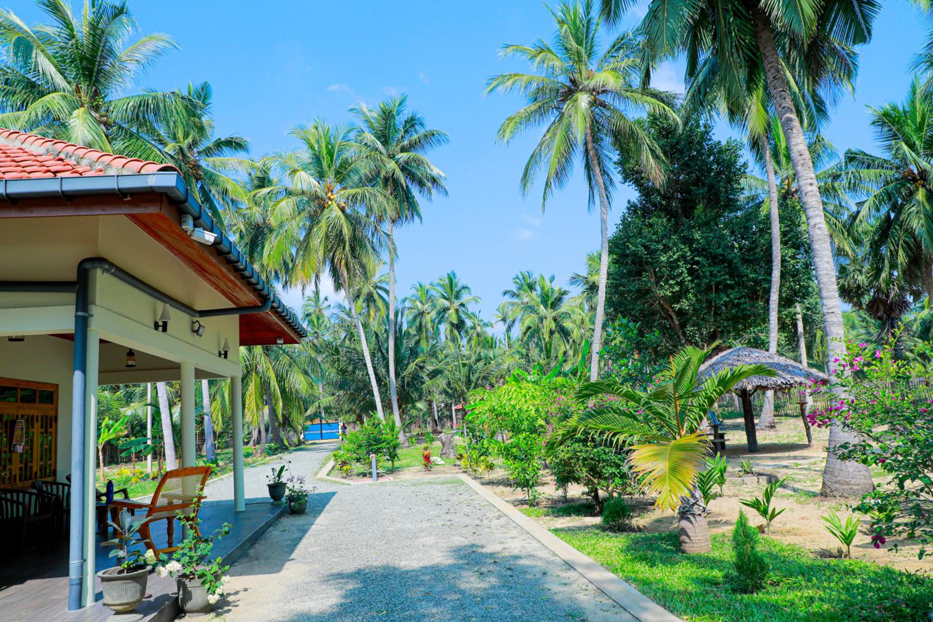Nature Paradise