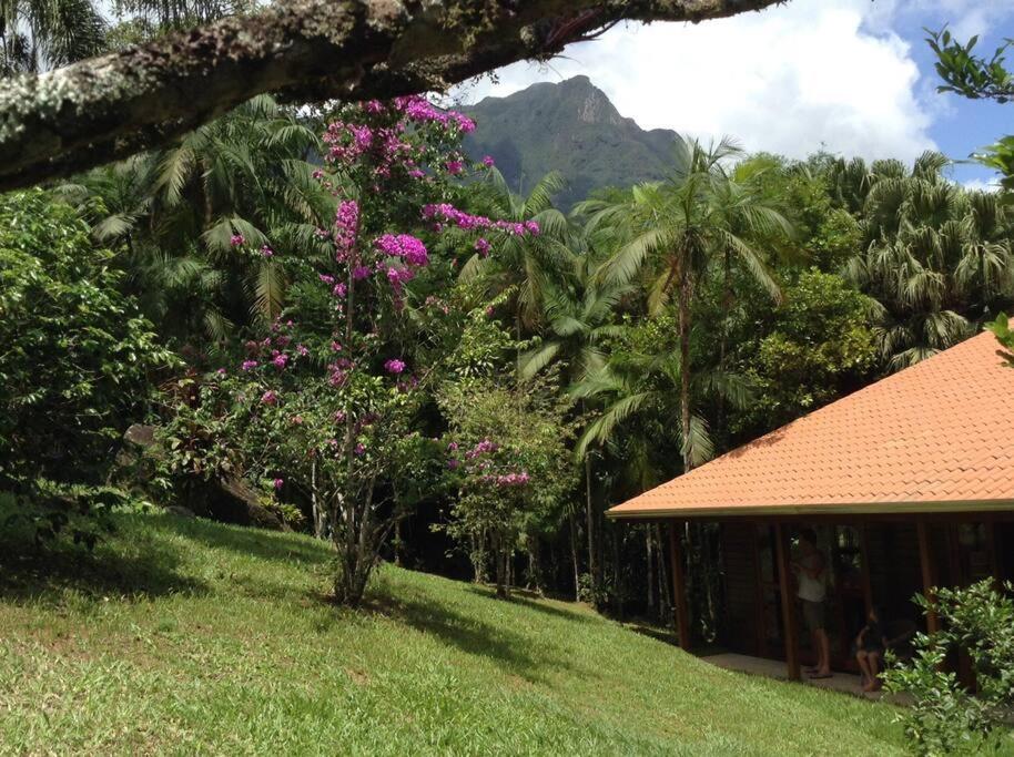 Adventure & Meditation Jungle Home