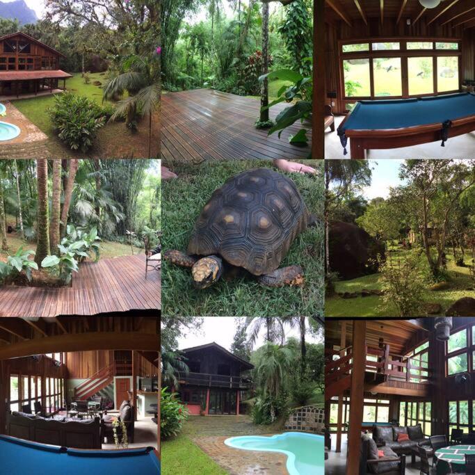 Adventure & Meditation Jungle Home