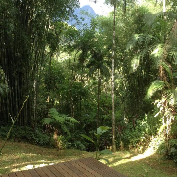 Adventure & Meditation Jungle Home