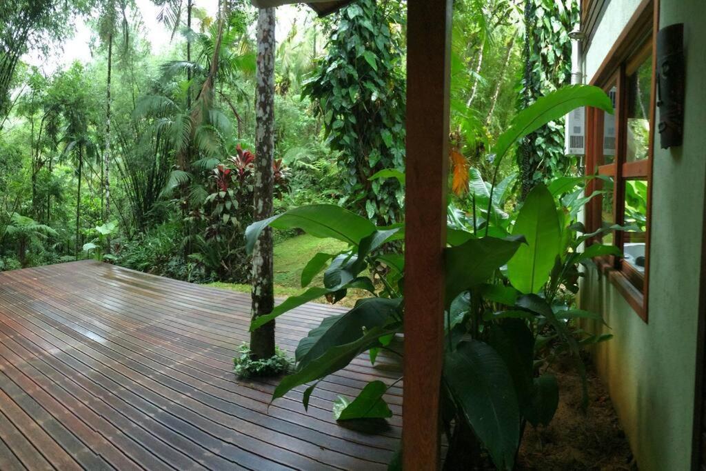Adventure & Meditation Jungle Home