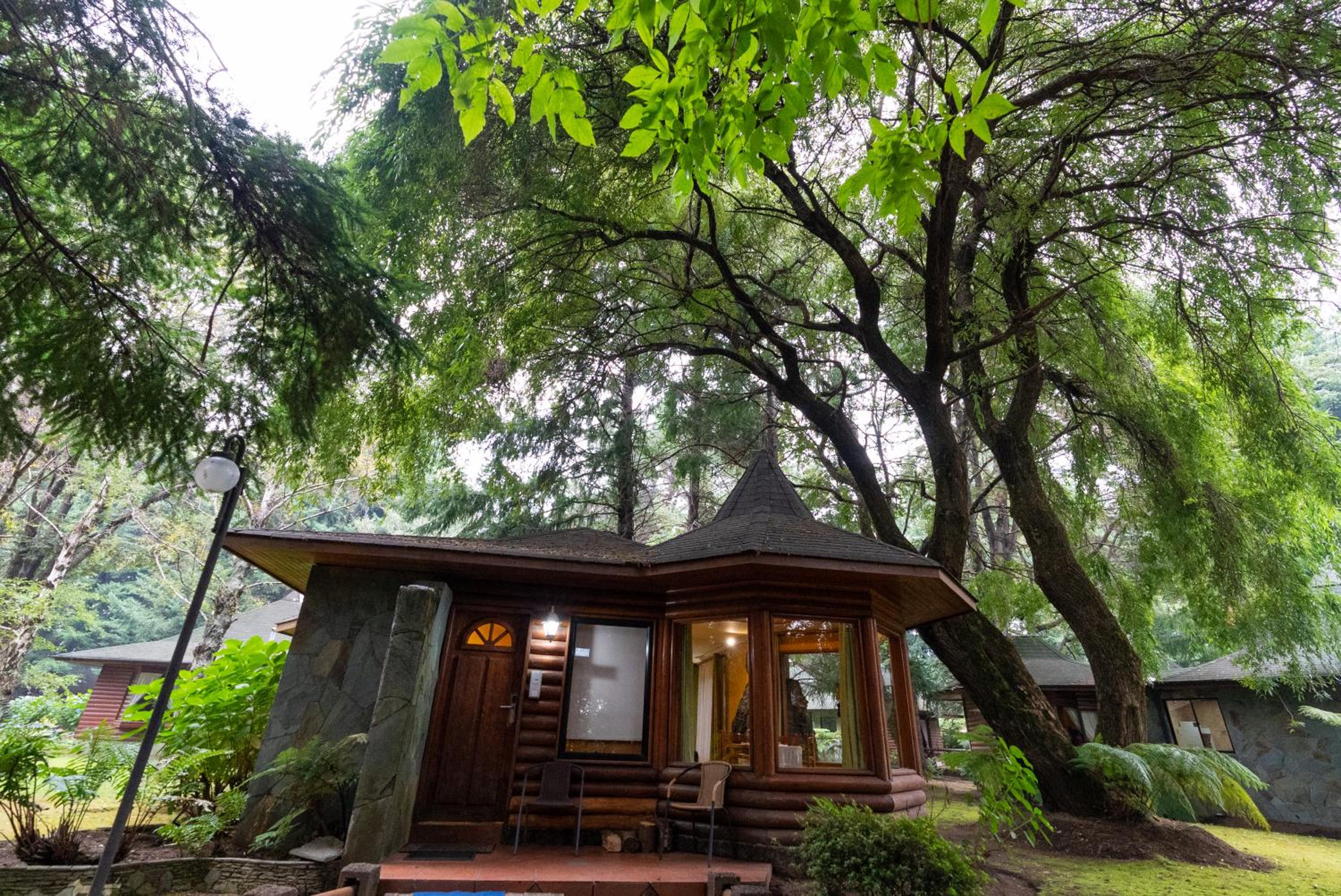 Cabañas el Dorado Pucón