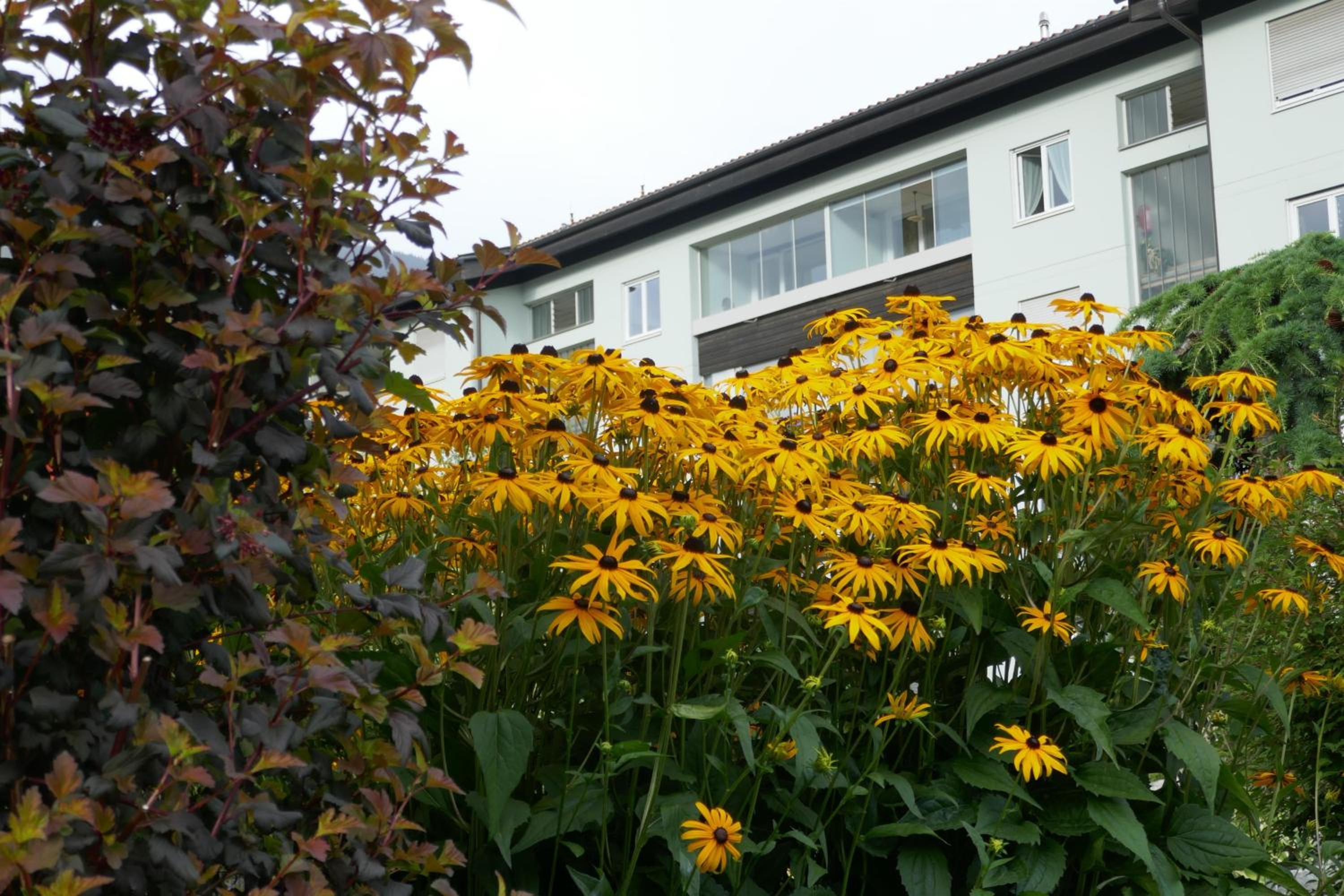 Apartment Sonnenlicht