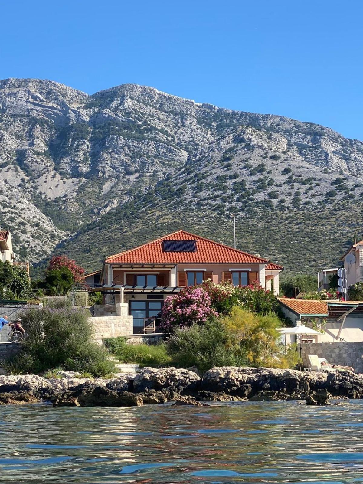 Villa Marija vacation house - 5 m from the sea view 2