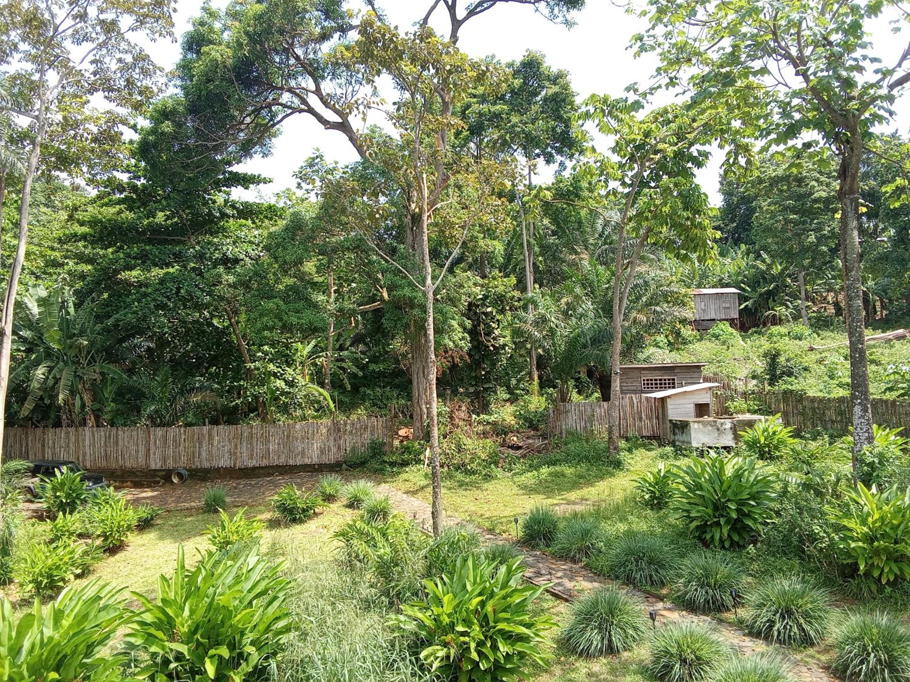 Photo 22