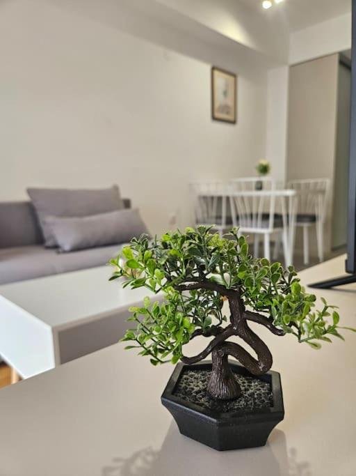 Milo Apartment