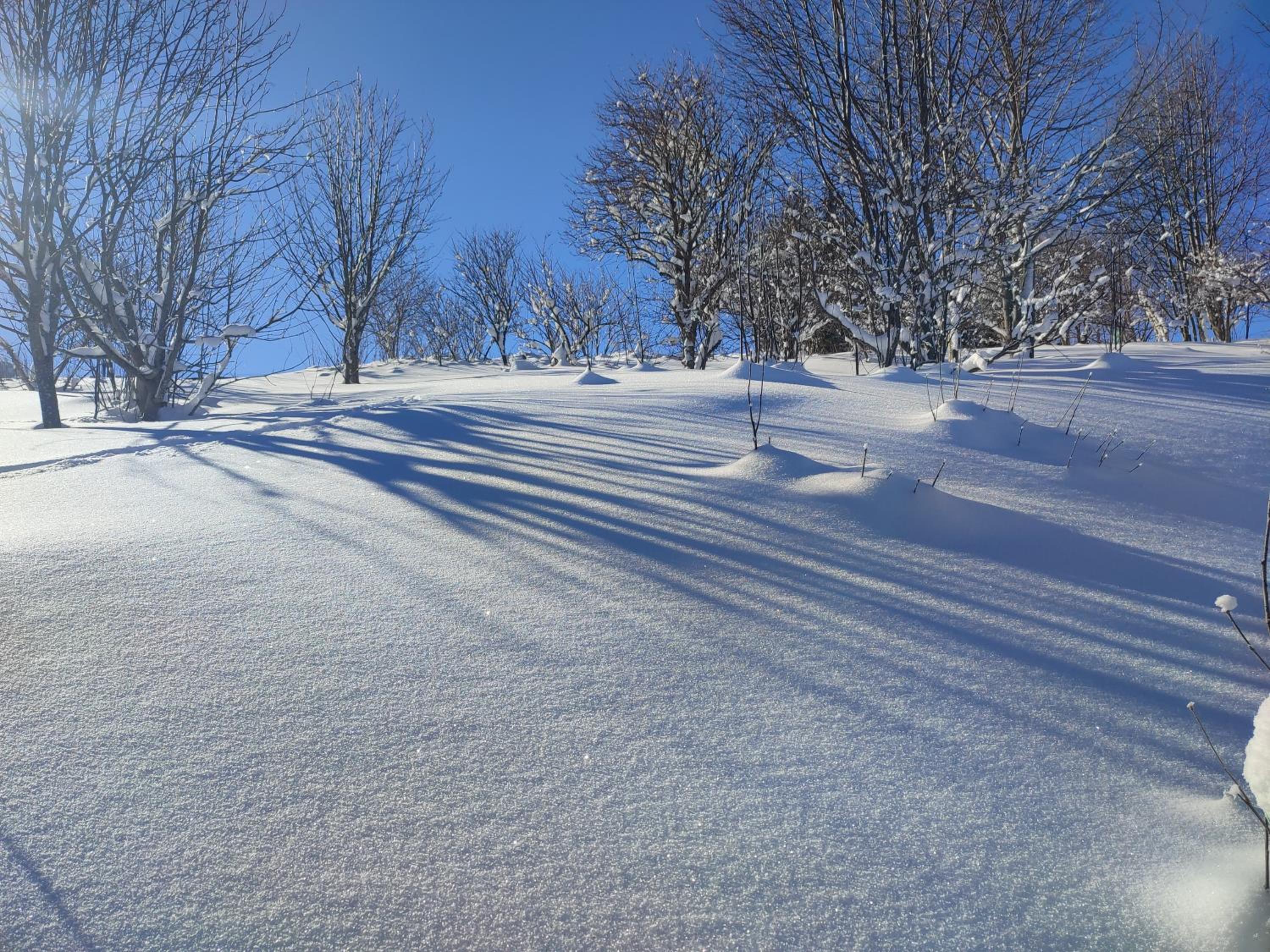 Nature Living Koralpe