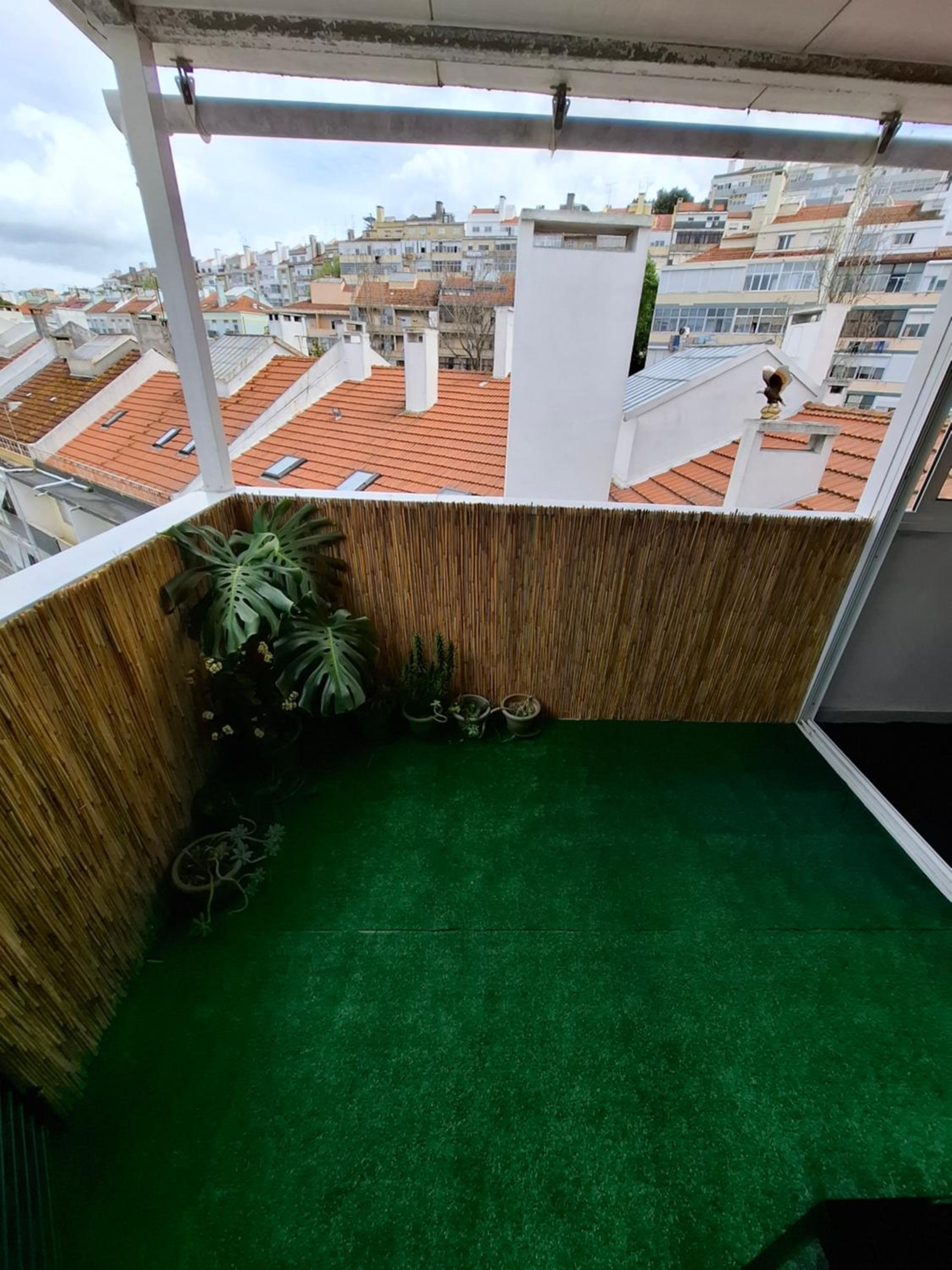 Clo Apartment view 5