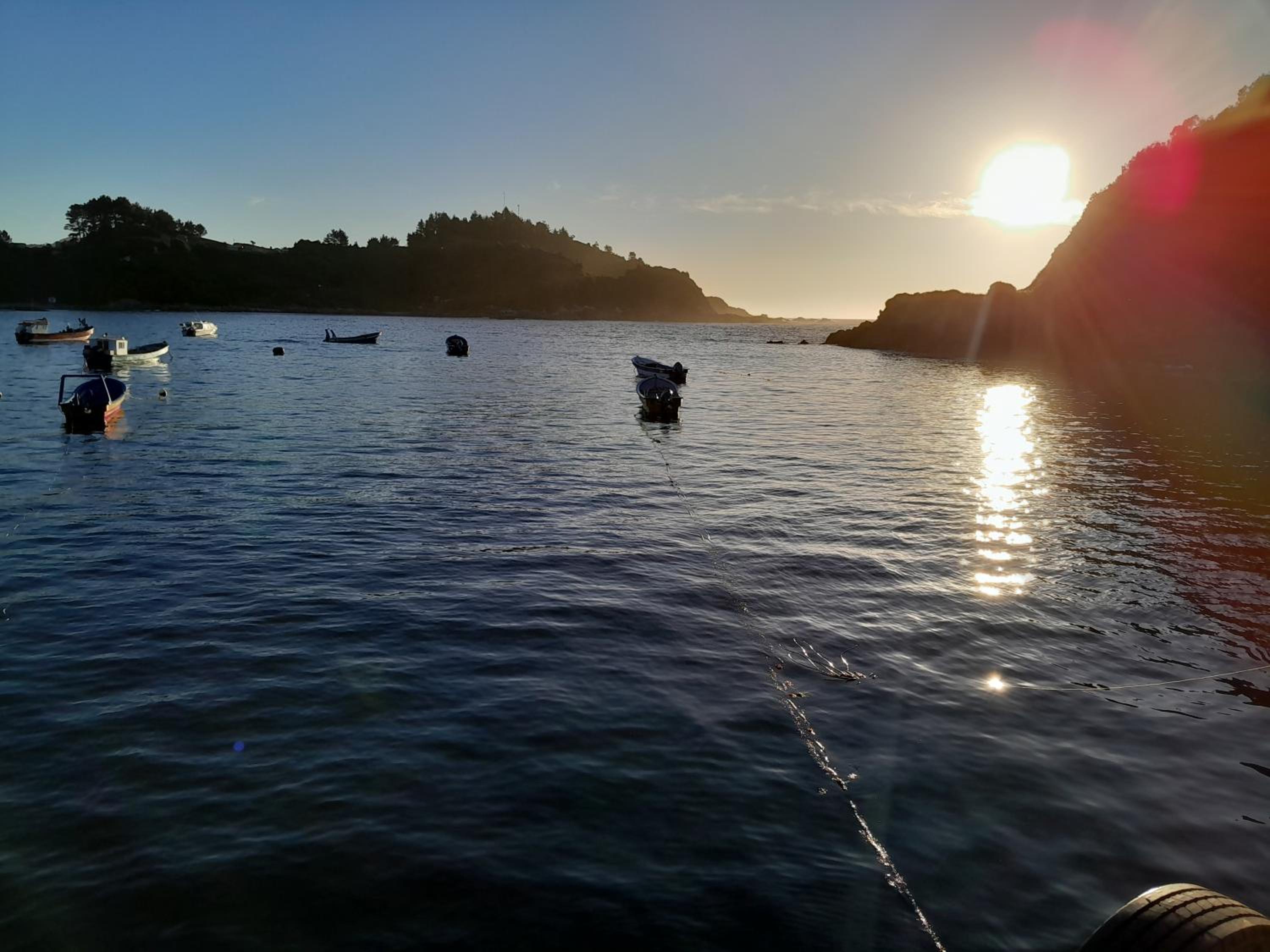 Cabaña Los notros