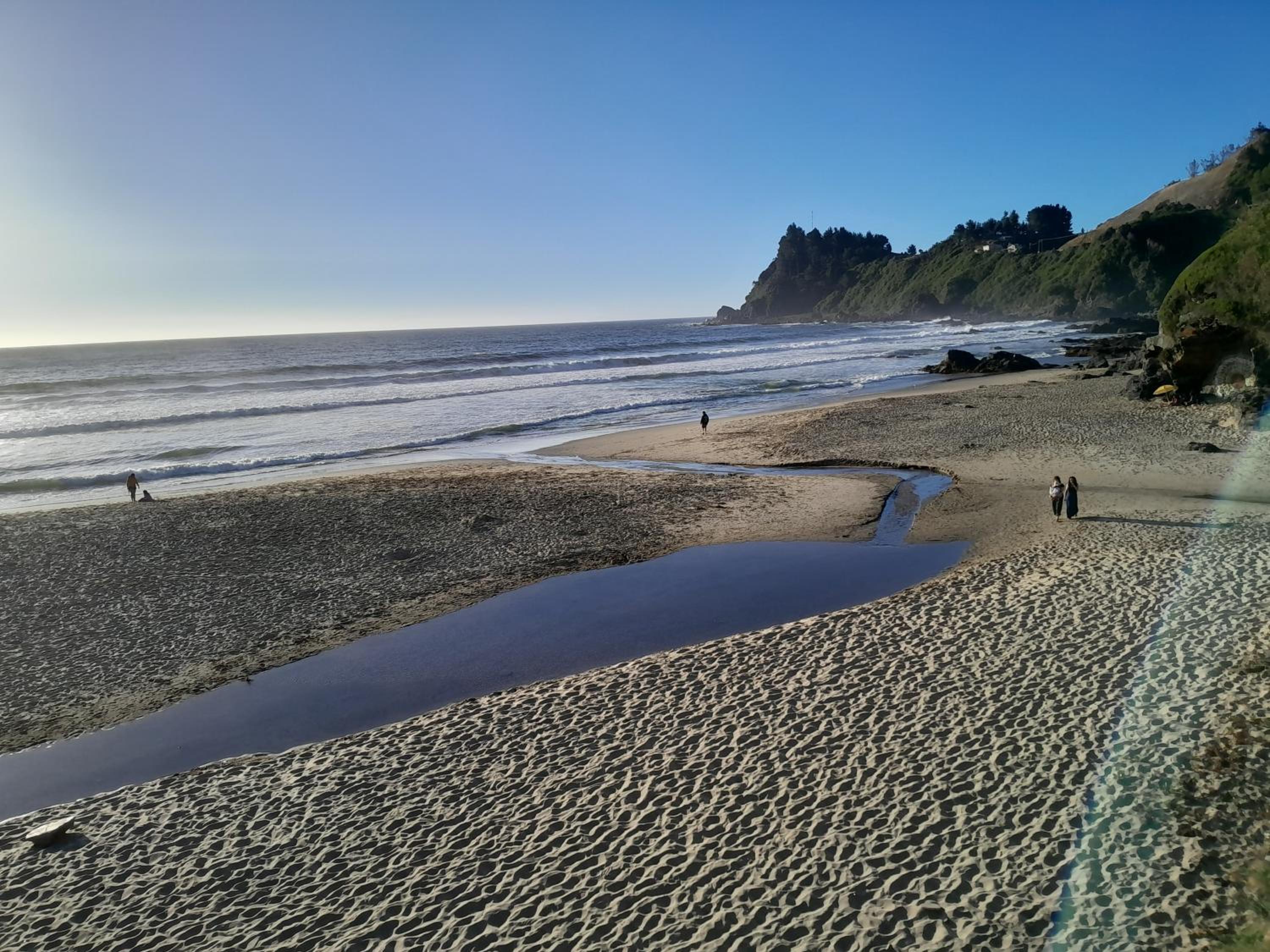 Cabaña Los notros