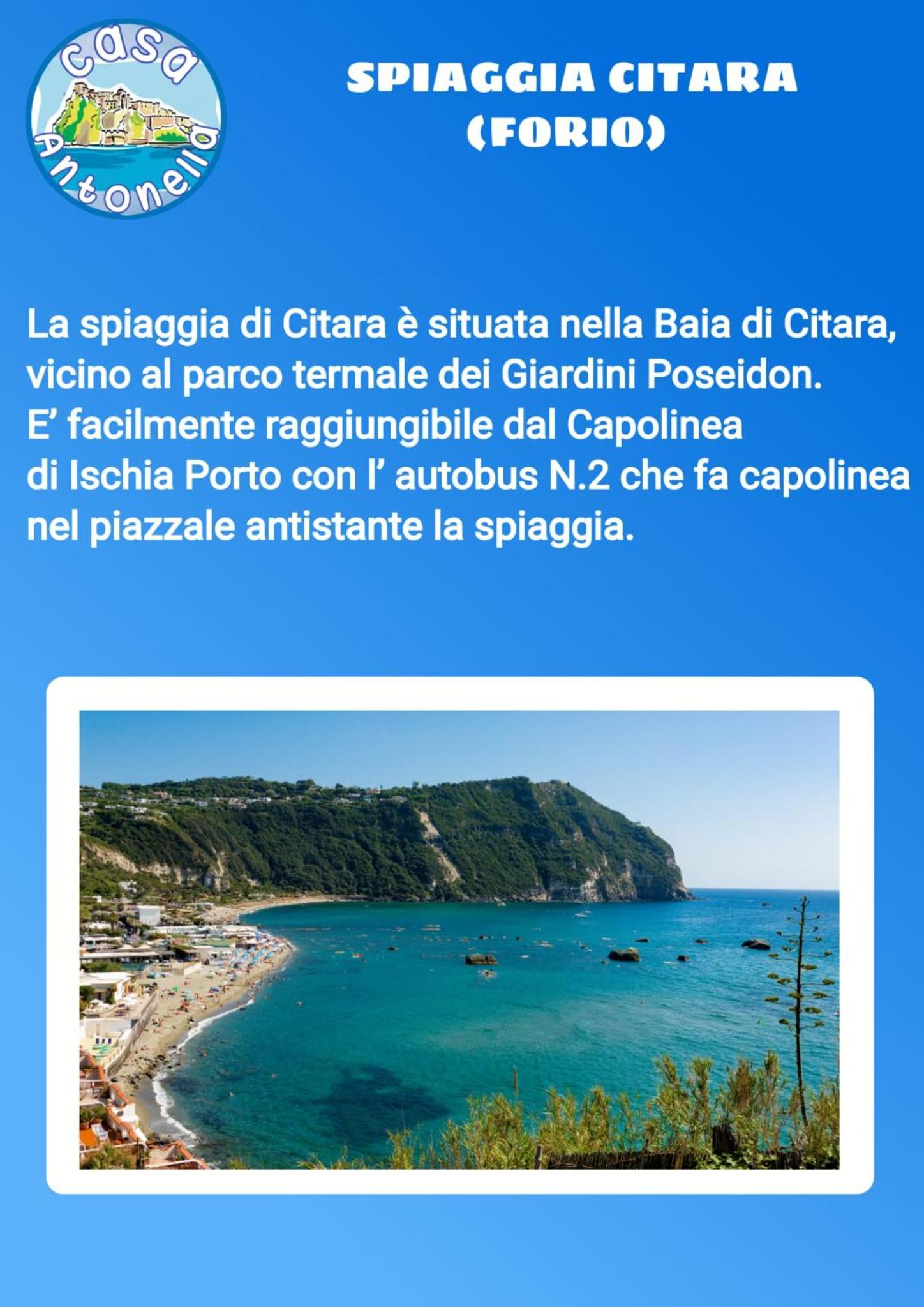Casa Antonella Ischia